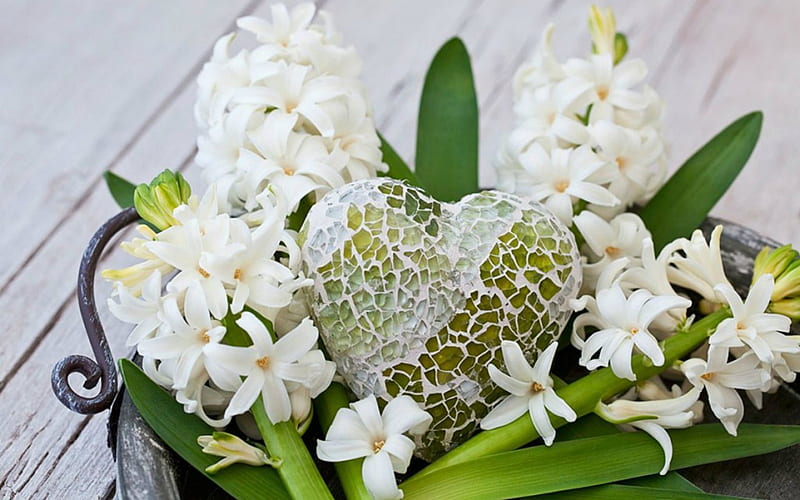 Jacinto blanco y corazón, flores, blanco, corazón, jacinto, Fondo de  pantalla HD | Peakpx