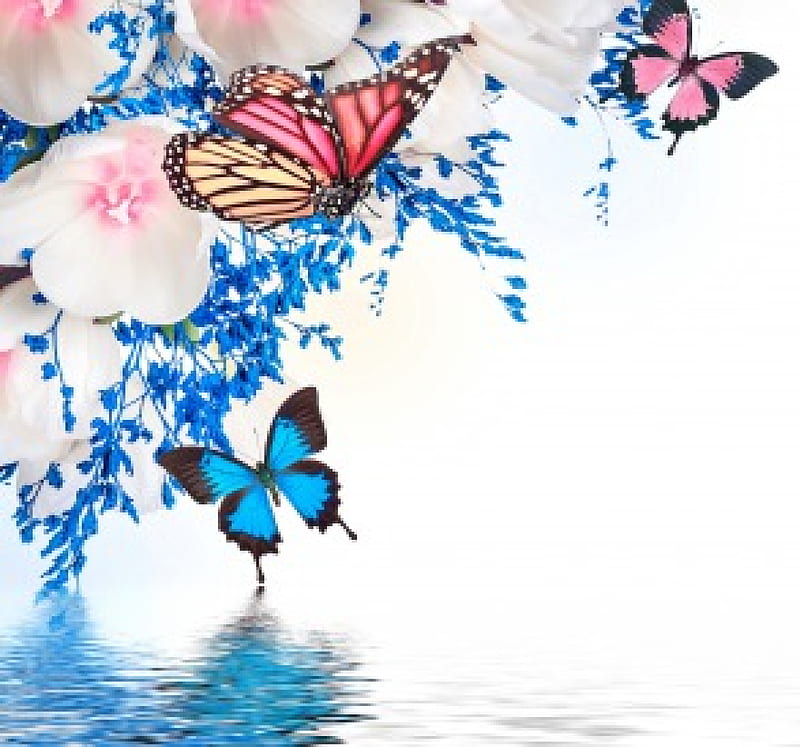 Flores y mariposas, mariposas, primavera, delicado, flor, agua, flores,  reflejo, Fondo de pantalla HD | Peakpx