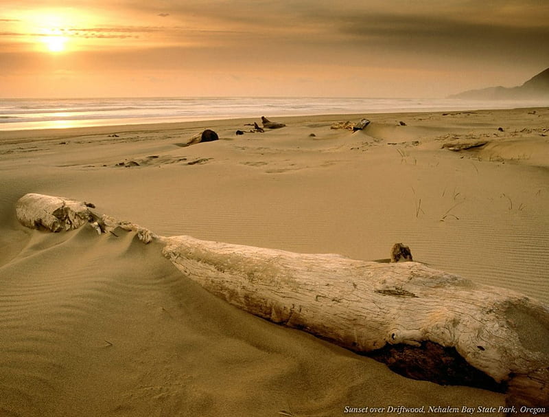 Golden Sunset Sands Sand Nature Sun Beaches Hd Wallpaper Peakpx