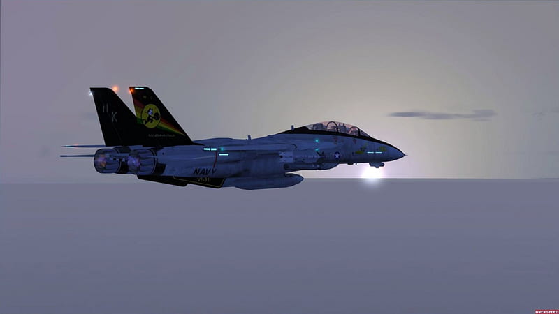 Tomcat FSX Sunset, fighter, force, wing, aircraft, plane, air, military, bomber, jet, missile, firepower, HD wallpaper