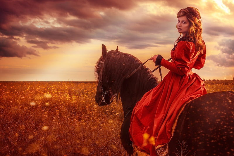 Beauty, graphy, rider, girl, horse, lady, HD wallpaper