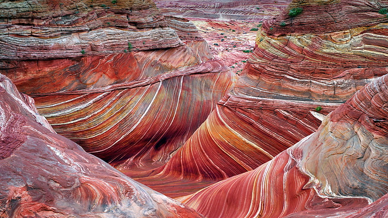 Wave Sandstone Formation Arizona USA Bing, HD wallpaper