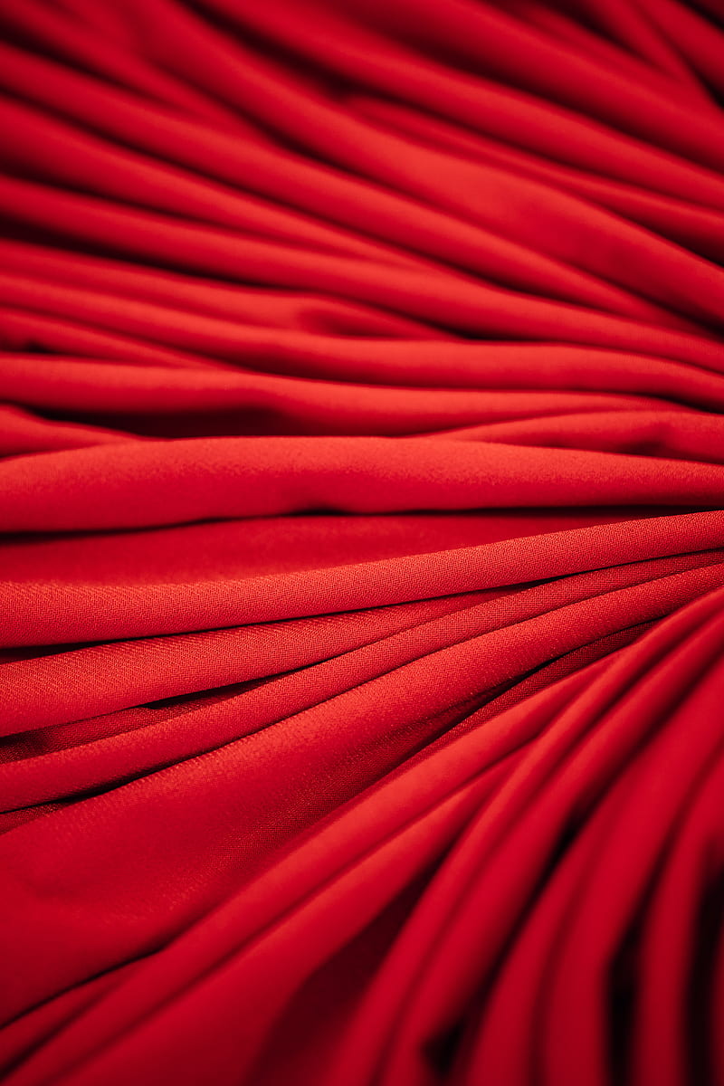 Red Flower in Macro Lens, HD phone wallpaper