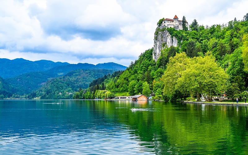 Lake Bled, summer, forest, Slovenia, Europe, HD wallpaper