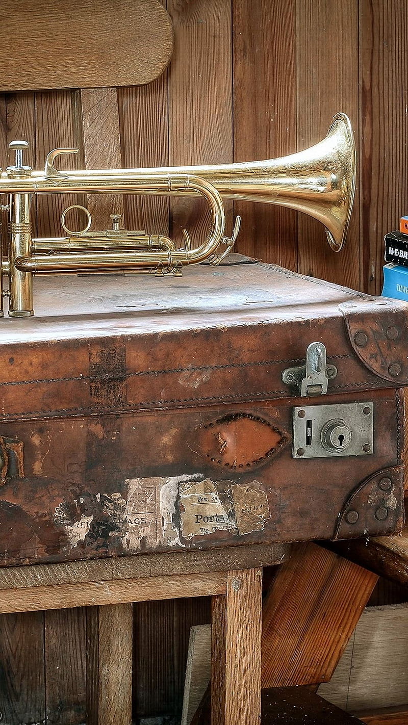 Trumpet, brass, horn, music, musical instrument, HD phone wallpaper