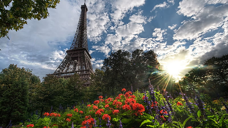 Paris Eiffel Tower Upward View With Trees And Flowers In Front And Sunbeam Travel, HD wallpaper