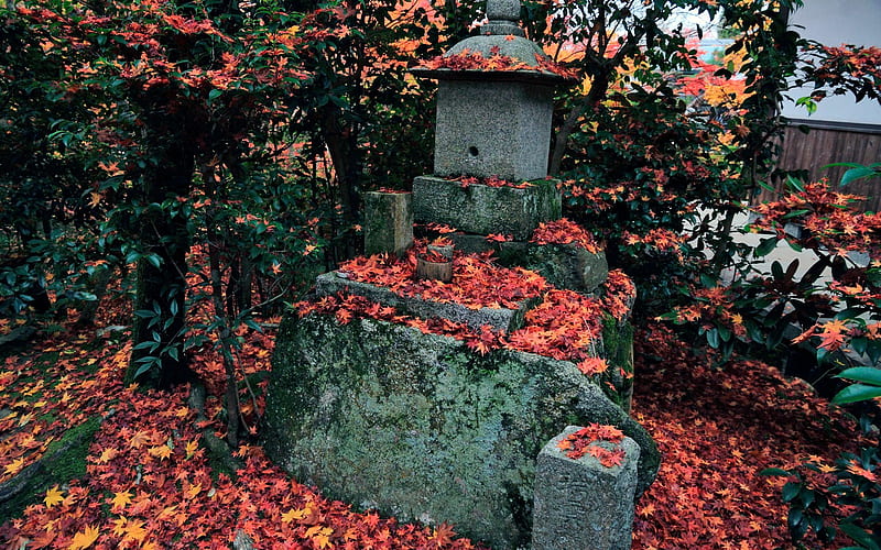The Hongye coverage of stone-Enkoji Temple Autumn, HD wallpaper