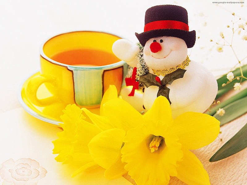 Christmas tea for all my Dn friends, flowers, yellow, snowman doll, bonito, tea, teacup, dafodils, HD wallpaper