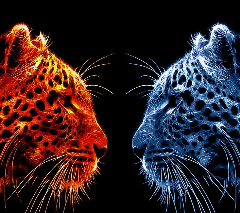 Tigers, blue, fire, HD wallpaper | Peakpx