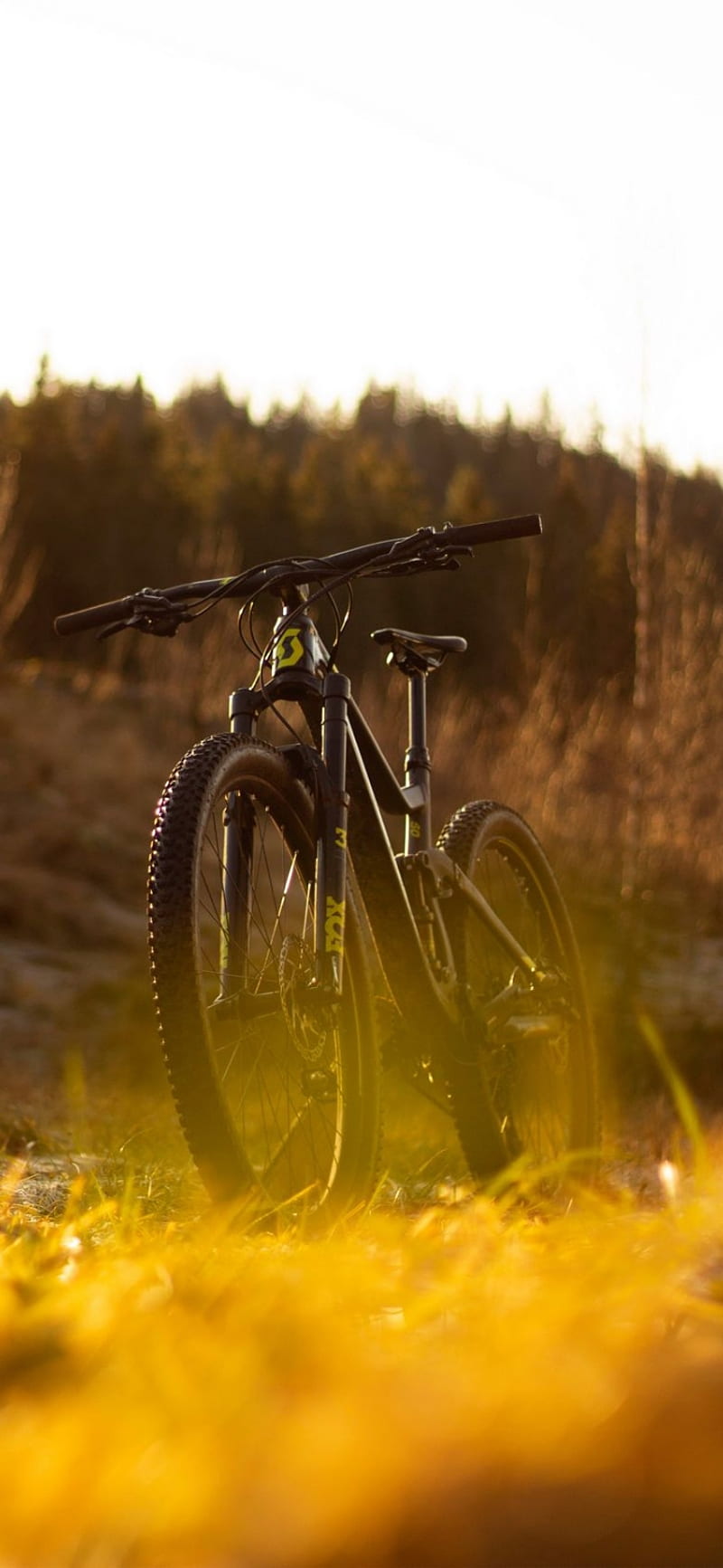 Bicicleta, naturaleza, Fondo de pantalla de teléfono HD | Peakpx