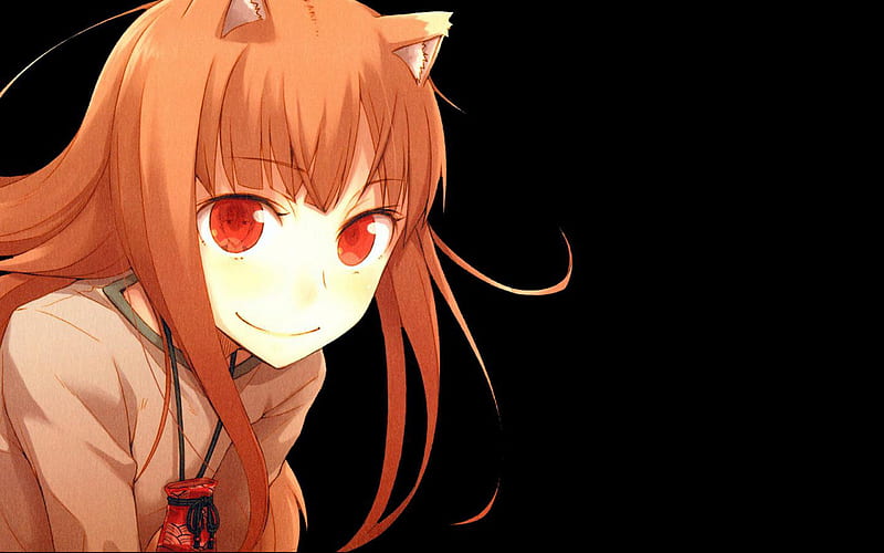 Spice n Wolf, Cant think of a fourth, Long Hair, Animal Ears, Wolf ...