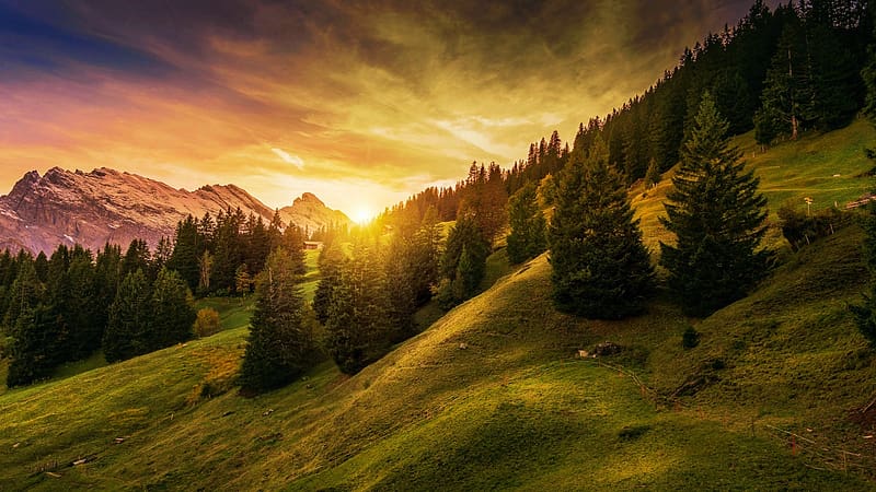 Sunset at Lauterbrunnen, Switzerland, trees, clouds, landscape, sky, mountains, alps, sun, HD wallpaper