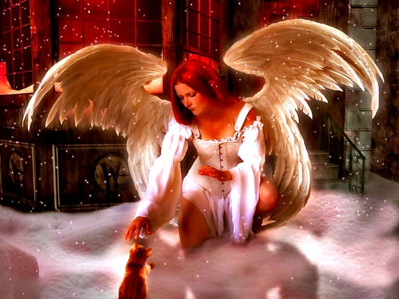 Remembrances of Life, fantasy, redhead, angel, cat, women, HD wallpaper
