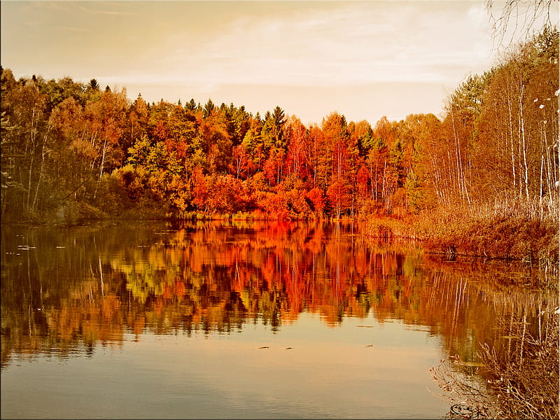 Autumn reflection, autumn, colors, nature, reflection, trees, lake, HD ...