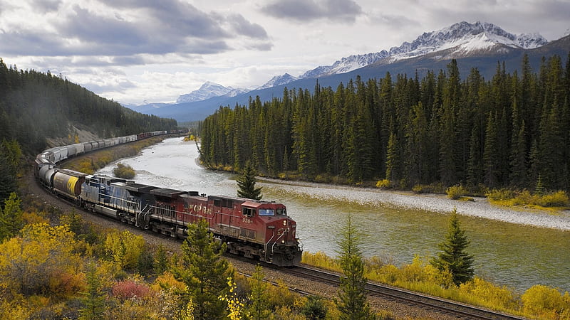 freight train, tree, freight, train, track, mountain, river, HD wallpaper