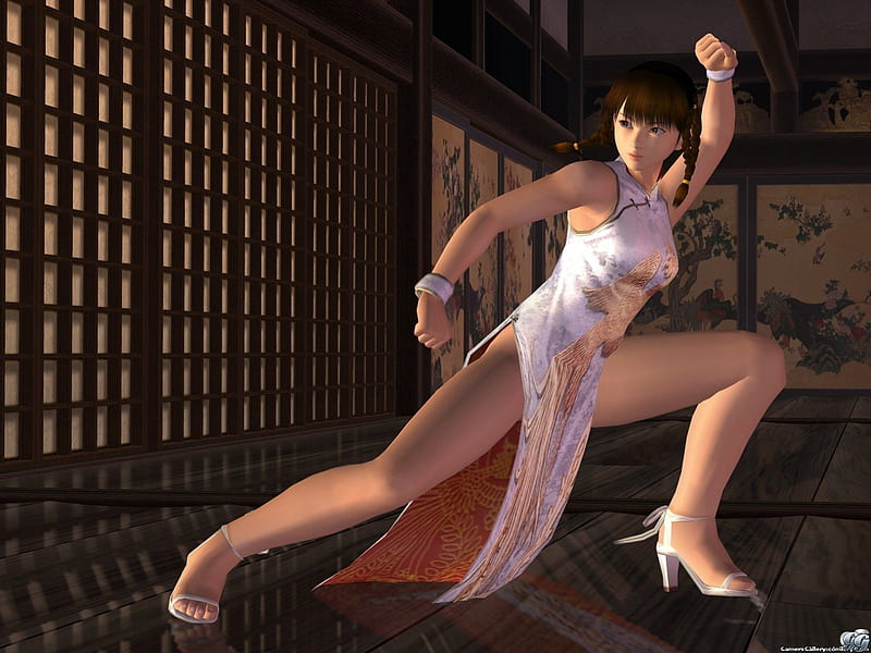 Lei Fang, games, female, doa, fighter, video games, girl, anime, dead or alive, HD wallpaper