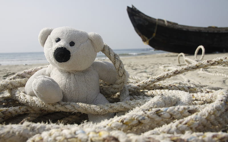 On the beach, toy, bear, rope, sea, beach, boat, sand, summer, white, HD wallpaper
