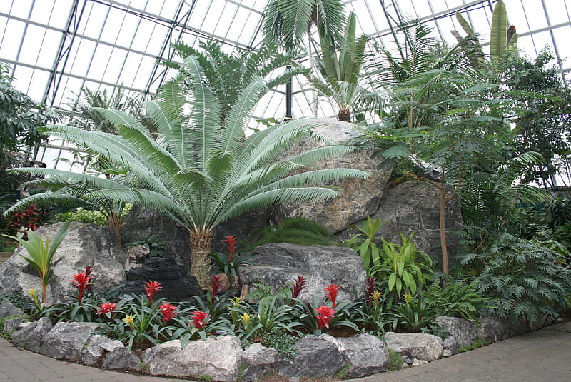 A great day to visit Edmonton Pyramids 28, red, rocks, graphy, green, Bromeliads, palm, Flowers, trees, HD wallpaper