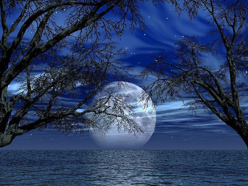 Moon, stars, full, trees, sky, clouds, mist, skies, water, nature, blue, night, HD wallpaper