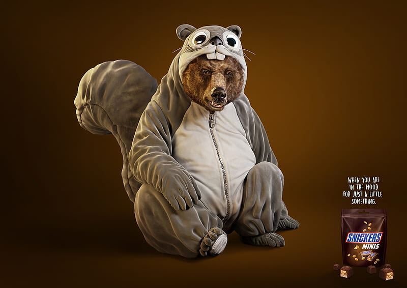 D, fantasy, add, snickers, urs, bear, commercial, funny, animal, HD  wallpaper | Peakpx