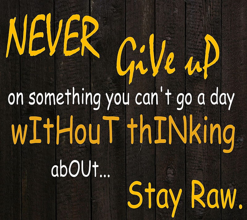 never give up, cant, day, go, on, something, you, HD wallpaper