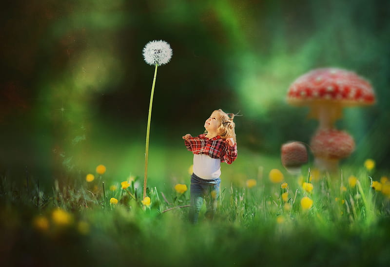 red, little, mushroom, creative, cute, dandelion, fantasy, green, girl, copil, child, HD wallpaper