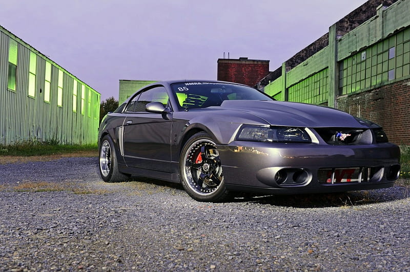 2003-Ford-Mustang-Cobra, 03, Cobra, Gray, Cowl Hood, HD Wallpaper