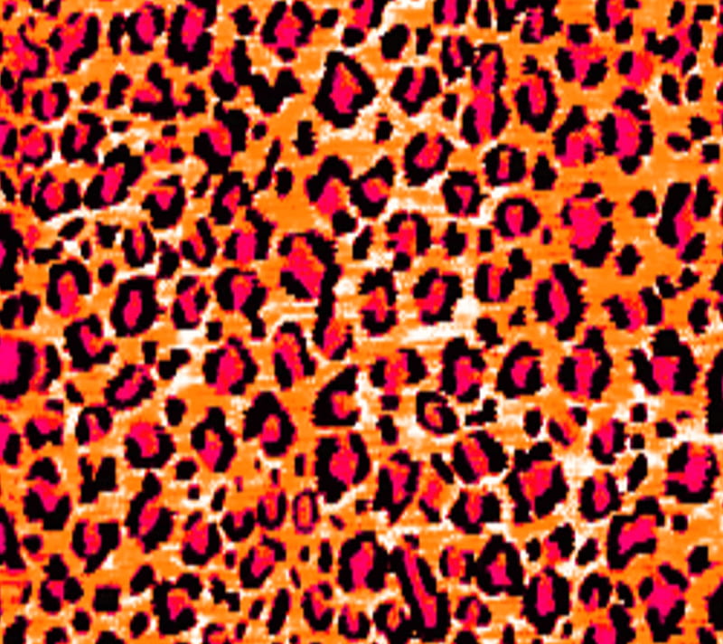 Leopard Skin, abstract, HD wallpaper | Peakpx