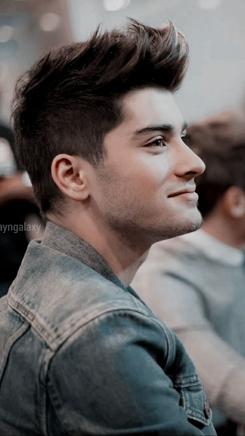 Zayn Malik Hairstyle What Makes you Beautiful One Direction, zayn malik,  zayn Malik, hair, niall Horan png | PNGWing