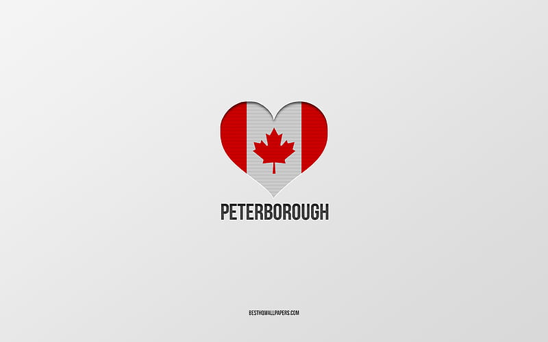 I Love Peterborough, Canadian cities, gray background, Peterborough, Canada, Canadian flag heart, favorite cities, Love Peterborough, HD wallpaper