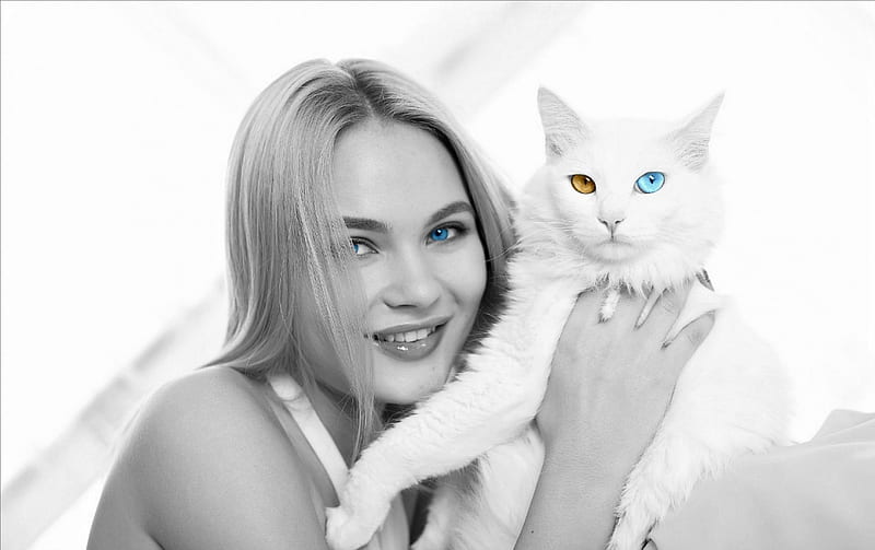 Talia Cherry and her Cat, Model, Blonde, Cat, Eyes, HD wallpaper