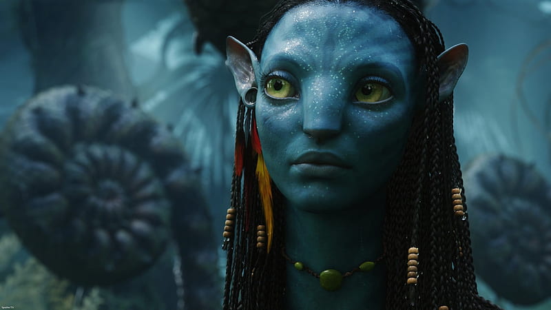 Zoe Saldana as Neytiri in Avatar, HD wallpaper