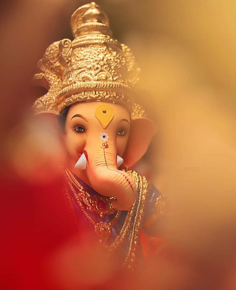 Ganpati Bappa morya, bappa, bonito, ganpati, god, lord, morya, HD phone ...