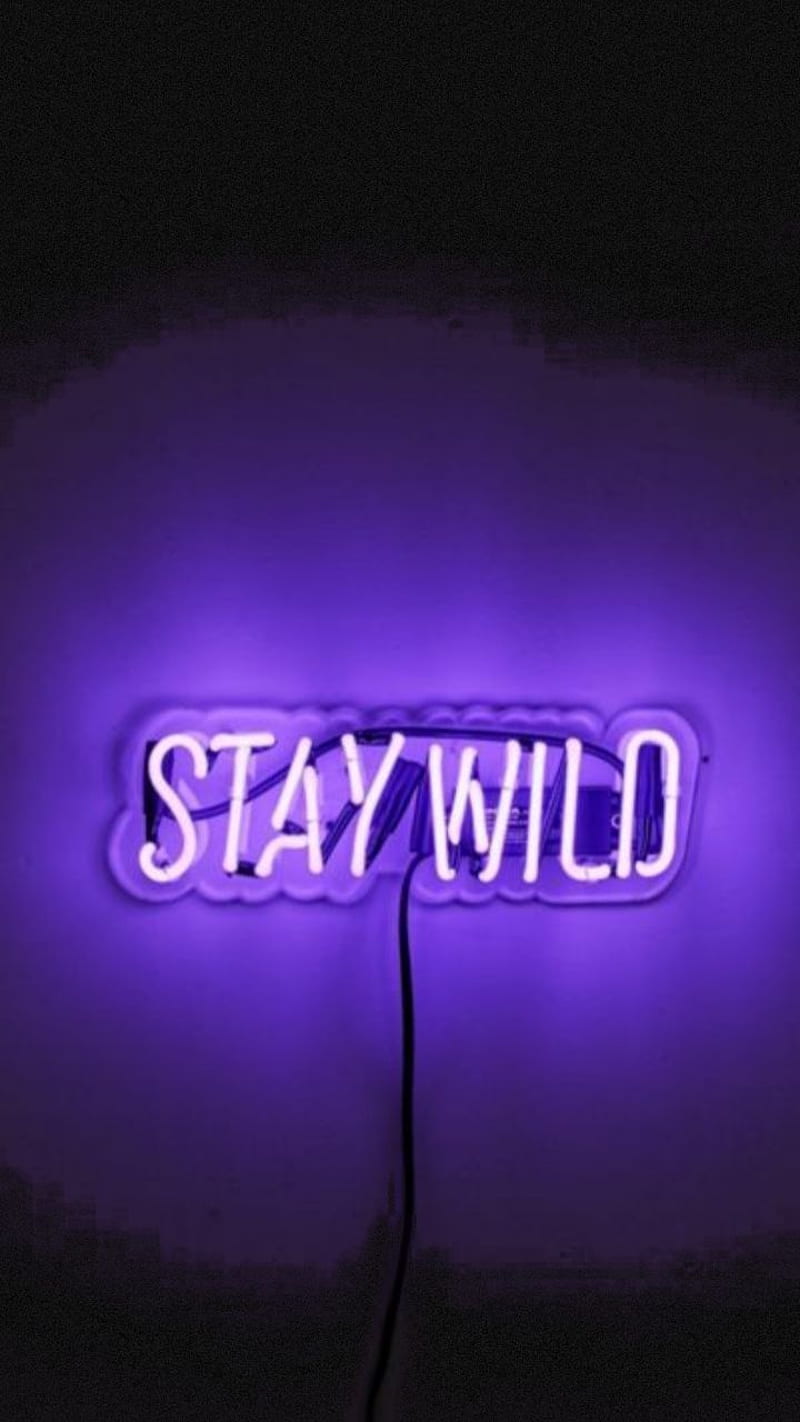 Neon Sign Stay Wild , purple, retro, 80s, sayings, music, new, HD phone wallpaper