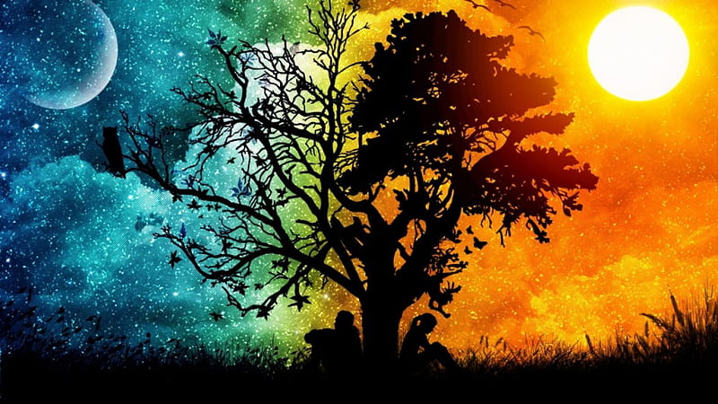 The Tree. ., fire, tree, moon, sun, the tree, sky, HD wallpaper