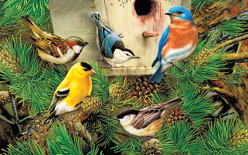 Birdhouse With Birds F, bird house, bonito, illustration, artwork, bluebird, animal, chickadee, painting, wide screen, art, Sparrow, nuthatch, bird, avian, birdhouse, wildlife, goldfinch, HD wallpaper
