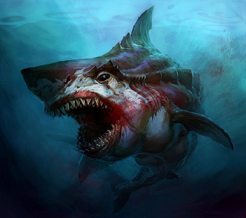 Shark, animal, danger, sea, HD wallpaper