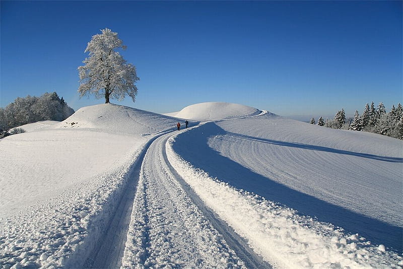 Winter-in-Emmental-Switzerland, snow, emmental, bonito, switzerland, winter, HD wallpaper