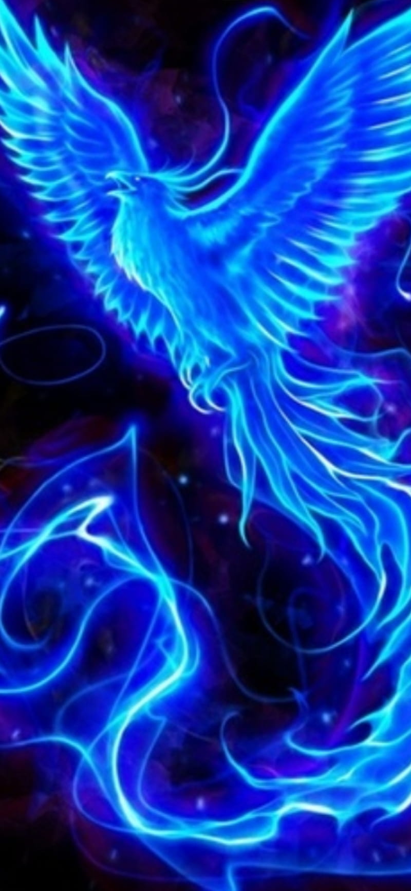 Blue phoenix, bird, fire, HD phone wallpaper