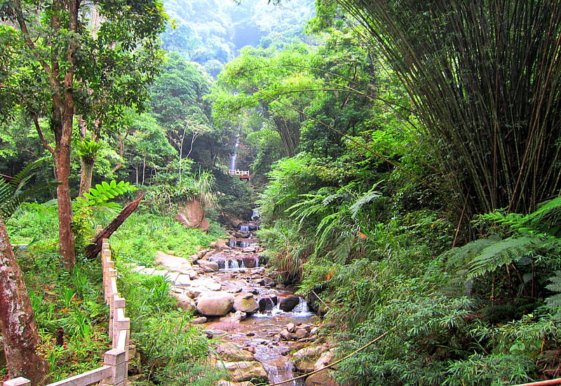 Waterfall, mountain, rocks, bamboo grove, HD wallpaper
