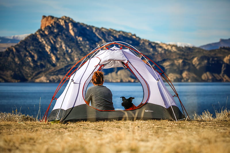 woman and a dog inside outdoor tent near body of water, HD wallpaper