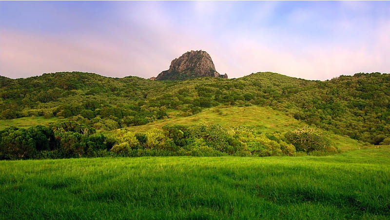 Colina cubierta de hierba verde, Fondo de pantalla HD | Peakpx