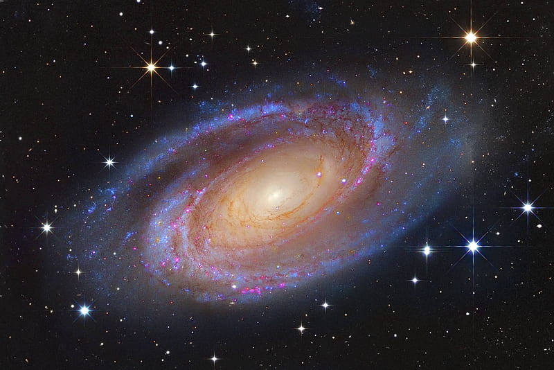 Bright Spiral Galaxy M81, stars, cool, space, fun, galaxies, M81, HD wallpaper