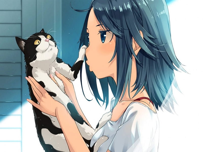 Lindo gatito ..... ^. ^, kimura, anime, ojos azules, gato asustado, gatito,  cabello corto, Fondo de pantalla HD | Peakpx