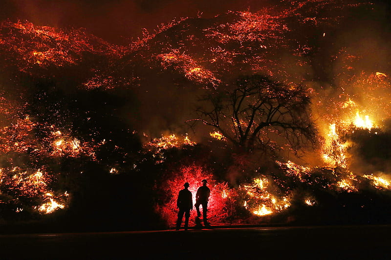 Two Man Standing In Front Of Forest Fire, HD wallpaper