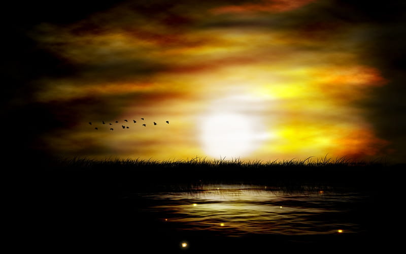 DARK SWAMP, glitters, dark, birds, sunset, swamp, HD wallpaper