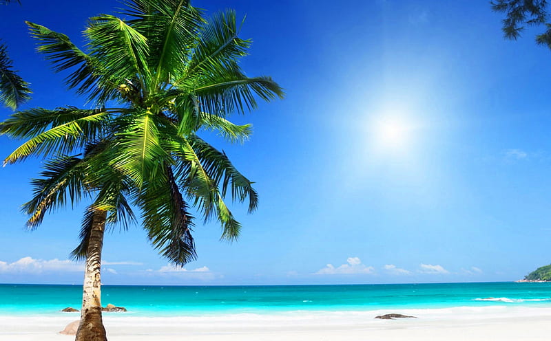 Paradise Sunny Beach, isle, shore, sun, sunny, palm, clouds, sea, beach, tropic, SkyPhoenixX1, vacation, holiday, ocean, sunlight, waves, sky, tree, paradise, summer, sunshine, island, tropical, coast, HD wallpaper