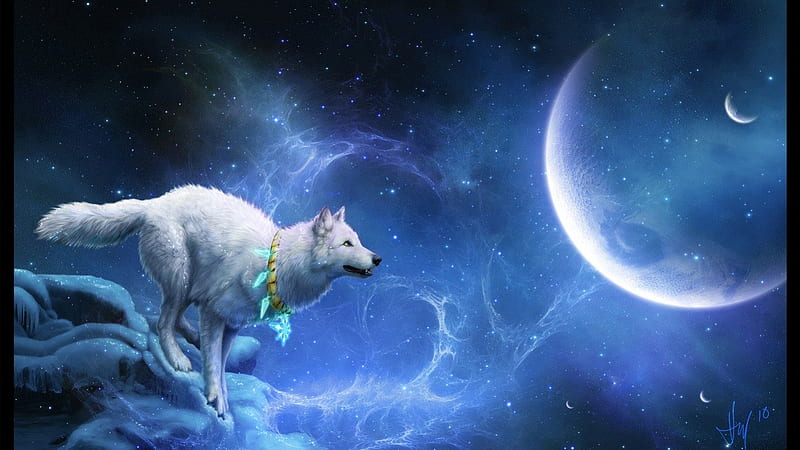 White and gray wolf photo – Free Animal Image on Unsplash
