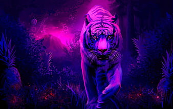 HD pink tiger wallpapers  Peakpx