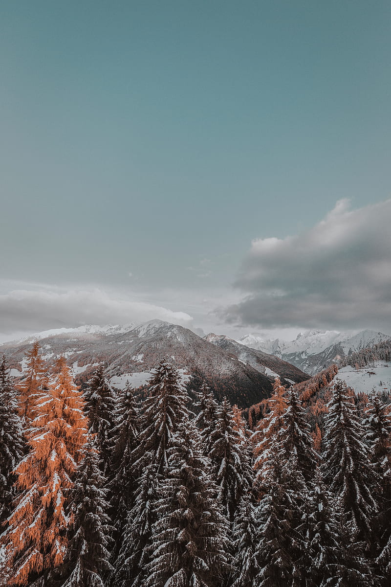 mountains, trees, clouds, landscape, snowy, HD phone wallpaper